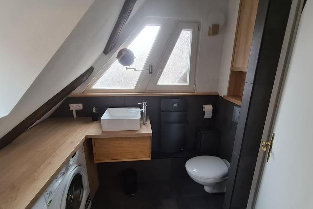 Duplex Centre - Le Marche Daire Obernai Dış mekan fotoğraf