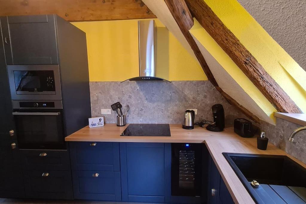 Duplex Centre - Le Marche Daire Obernai Dış mekan fotoğraf