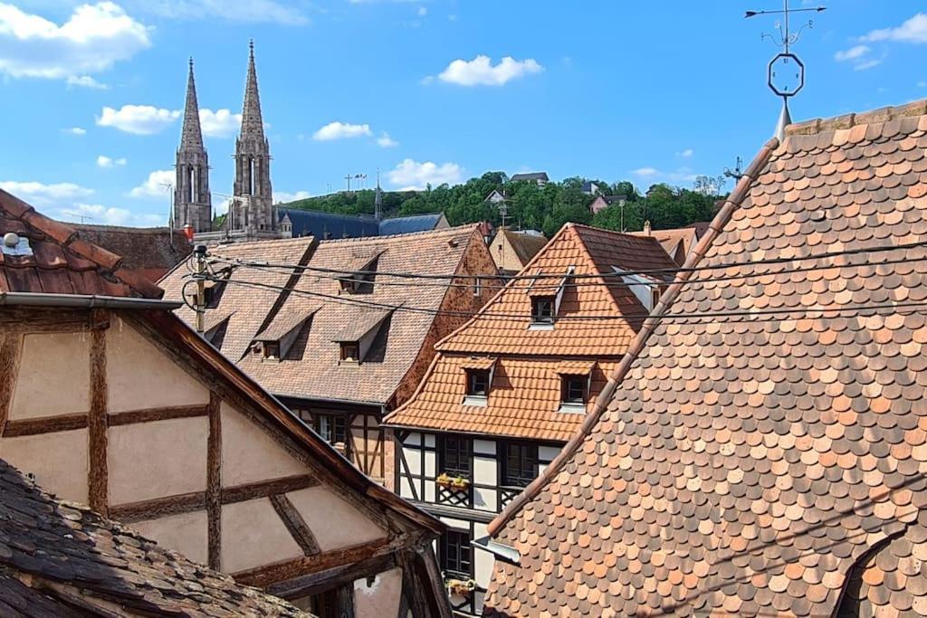 Duplex Centre - Le Marche Daire Obernai Dış mekan fotoğraf