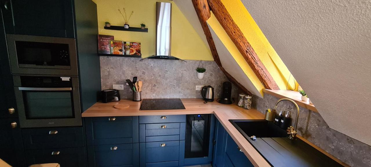 Duplex Centre - Le Marche Daire Obernai Dış mekan fotoğraf