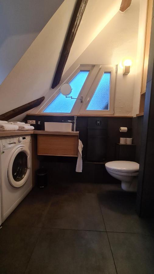 Duplex Centre - Le Marche Daire Obernai Dış mekan fotoğraf